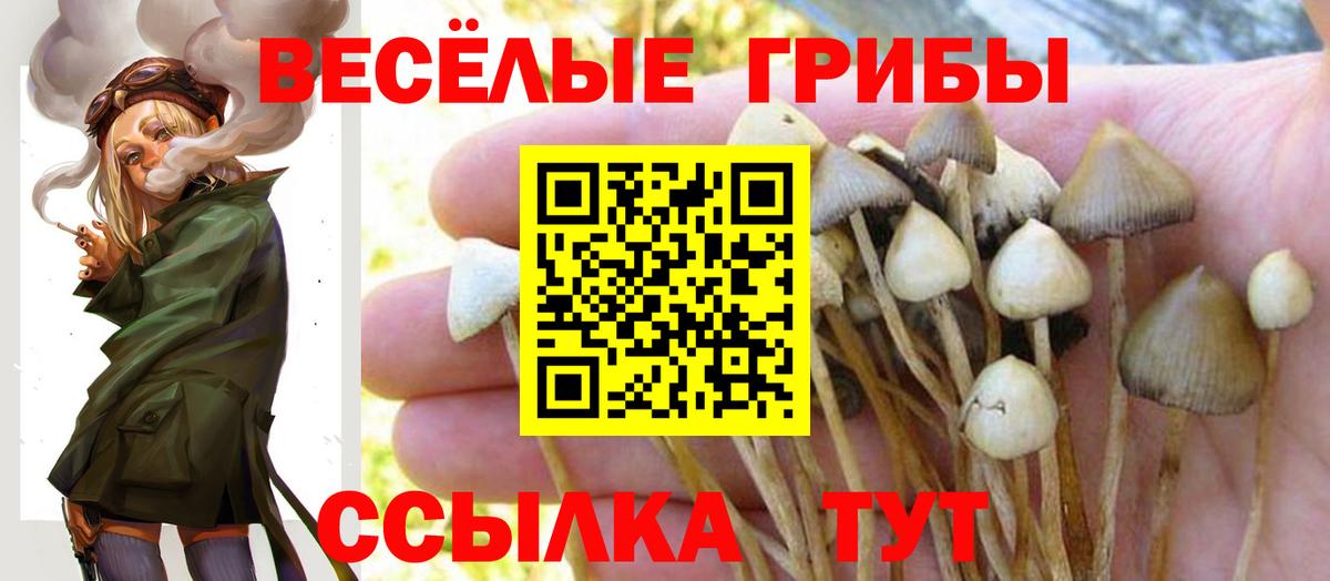 Галлюциногенные грибы Psilocybine cubensis  Вход с VPN  Похвистнево 