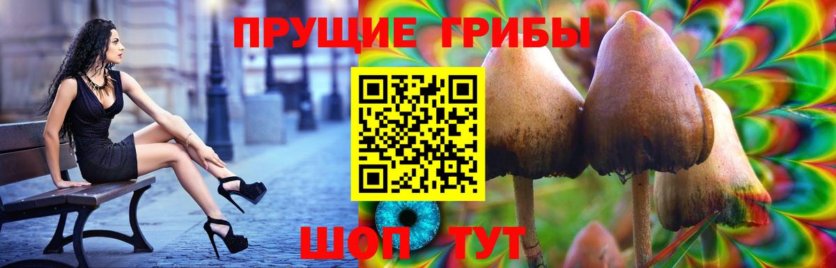 Псилоцибиновые грибы Psilocybine cubensis Похвистнево